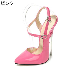 fB[X pvXT_ nCq[16cm 28cm܂ |CebhgD Vo[ sN    Gi 傫TCY tH[} Vv n ʋΒʊw Y   Зp 