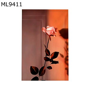 ̂ g a Vv vg ډB̂ fMJ[e J Ռ Ԏd؂ y ˂ C] a mp 䏊 ʏ ֗p