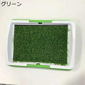 gCg[ lH gCpbh |[^u  Őpbh ݒR LȂ  O p gCg[ hbO gC ȒPɑ| Ə𐴌ɕۂ g[jO ybg