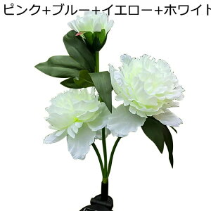 \[[Cg 뉀Cg O  tFCNt[ 3 4{ uCg _ drsv h H|i ԑ J[ dF 뉀 b   O AEghA K[f fR