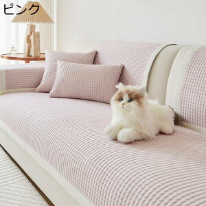 \t@[Jo[  bt }`Jo[ 3l| 2l|  ėp h~ z[ ׂ~ ėp LeBO ڐG⊴f I| Jo[ e[uNX ɗD 