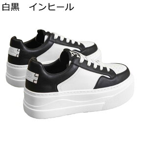 Xj[J[ JWAV[Y Y C wȂC V[NbgV[Y [XAbv ؍   XP{[V[Y h ₷ X|[c