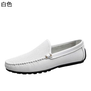 [t@[ Xb| Y hCrOV[Y {v U[ bV   ؂ JV ₷ tH[} t@bV EH[LO ₷ ʋ  w Zn 