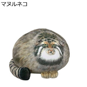 �ʂ������ �����܂��� �N�b�V���� ���A�� �������� �ۂ����� ���� ���� �{���������� �v���[���g �C���e���A �N���X�}�X �j�̎q �q�� �\�t�@ �����Q�N�b�V���� �w������ �X�g���X���� ��