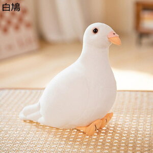  ʂ A ng      ӂӂ CeA u  NbV { a j wj j q ޏ v[g