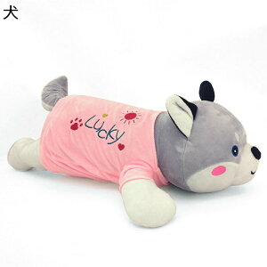 ʂ  Q 傫TCY  O    PP tt _炩 Q C ޏ ގ j a NX}X Mtg