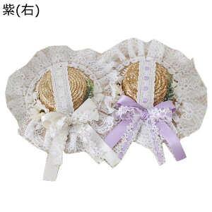 Xq ~jnbg JNenbg [^ Lolita [X t fB[X { Pn Xq t  ΍L 킢 Ăh~ C C ܂肽߂ RpNg Pn XK[