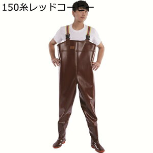 EF[_[ `FXgnCEF[_[ h ނ PVCEF[_[ J hБ΍ tC hY{ CV[Y O hC \[ k C cA Y  NX d 