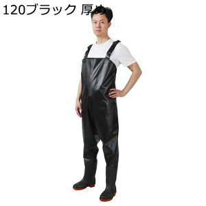 EF[_[ `FXgnCEF_[ WA\[  tC tBbVOEF[_[ C ƌC hڂ ȒPE cA  _  jp Ȃ Sh ϖ