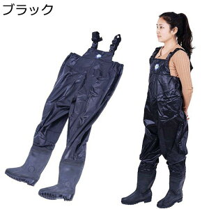 EF[_[ `FXgnCEF[_[ WA tFg WA\[ tFg\[ iC^Cv Ci[bV Y fB[X k ނ 傫TCY EGXg  C 