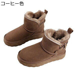 fB[X Xm[u[c U[ {v XG[h Xm[V[Y NXgbv xg Ou[c [gu[c ZC C hC N  ۉ   ϐ Ȃ