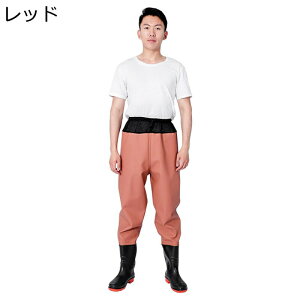 EGXgEF[_[ ނpX[c hC Cu[c WA ~ s Y   C  C ƌC ƒ CV[Y ȒPE _ AJ R ϖ