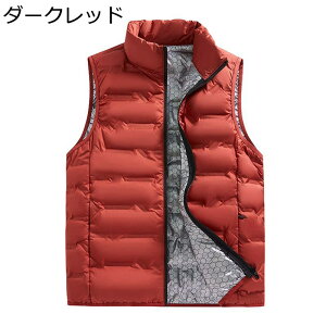 _ExXg Y EB^[xXg rbOTCY  Vv X^hJ[ H~  ۉ g h΍ JWA ʋ ʊw jp X|[c AEghA