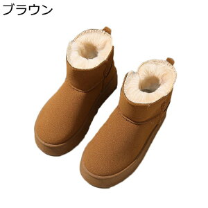 EC^[u[c fB[X nCJbg [gu[c {A V hC EȒP _炩 V[gu[c h ϋv ~  ZC Vv O ʊw i ~p