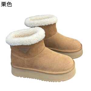 [gu[c  V[g ~p {At fB[X Xm[V[Y V h RtH[g y hh ȌC ₷  ZC ϋv _炩 pu[c ʋΒʊw o