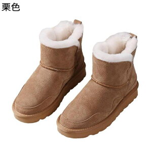 [gu[c V[g ~p {A fB[X Xm[u[c  h 傫TCY ϖ h h ȌC _炩 ZC S ₷  EB^[u[c AEghA