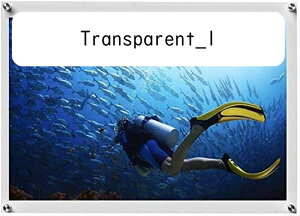 N[ X^hIt Transparent_1  11cmx43cm dpl  䎆 ʐ^t[tĂAN z𕂗V1f 