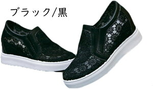 [t@[  Xj[J[ bV [X pvX Cq[ Xj[J[ fB[X JWAV[Y C Xb| X|[cV[Y jO EH[LO 傫TCY 