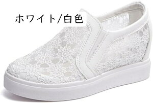 [t@[  Xj[J[ bV [X pvX Cq[ Xj[J[ fB[X JWAV[Y C Xb| X|[cV[Y jO EH[LO 傫TCY 