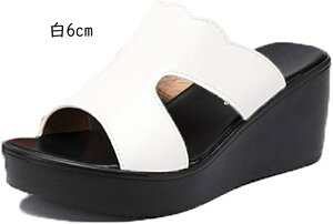  T_ ~[ Vv n fB[X I[vgD EFbW\[    t@bV r JWA t  T{T_ 傫TCY TCY Xg[t