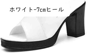 T_ ~[ fB[X q[ ₷ T_ `L[q[ 7cmq[ wlC XbpV[Y  ~[T_  傫TCY TCY ItBXT_ 