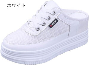 Xj[J[ ~[  傫TCY bV  t@bV Vv ƂȂ O[ X|[c K T{ ~[ Ȃ ₷ ʊw w  Oo 24.5c