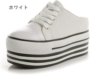 T_ ~[ fB[X ƂȂ y Xj[J[  [XAbv Xbp JWA T_ [Jbg LoXV[Y ʋC  EFbW\[ T_ 