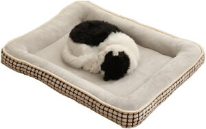  xbh t  ybgxbh Ђ ~ ӂӂ 􂦂 O[? F ybgpxbh XS  \t@[ ⊴ NbV ^ ^  p Lp ʋC Lp