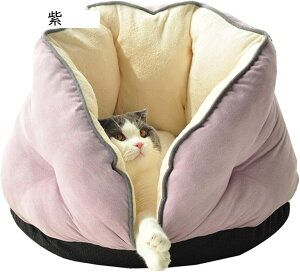 xbh Lxbh ybgnEX ybg\t@ O[ xbh g 2WAY h[^ ybgpxbh q Lp ybgNbV ybgpQ ӂӂxbh Q S Lbgxbh ^