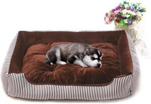 �� �x�b�h �y�b�g�x�b�h 2XL �L �� �N�b�V���� �ӂ�ӂ� ����~�� �􂦂� �y�b�g�\�t�@�[ �ϊ��� �ʋC�� �X�N�G�A�^ �X�g���C�v�� �L�N�b�V���� �������薰�� �Q�� �ʔN �I�[���V�[�Y�� ��