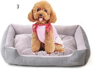  xbh ybgxbh 2XL L  NbV ӂӂ ~ 􂦂 ybg\t@[ ϊ ʋC XNGA^ XgCv LNbV 薰 Q ʔN I[V[Y 