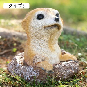 K[fu Aj} ʐ^ }CNi K[fjOu n LIuWF A IuWF  z[K[f ^Cv1 G u F g K[fjO ANZT