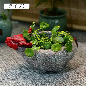 t[|bg wbhv^[ |bgv^[ Ap Av^[ 킢 F T{ev^[ ANZT[ {ȓ Aj}̒ O 