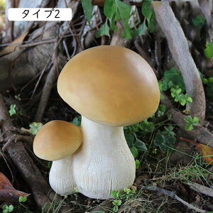 I[ig I LmR H|i O ̂ ^Cv K[fjOG G߂̏ K[fjO W | F AEghA Ő O fR[V K[fjOu L