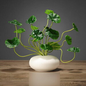 n̒u k̍H|i u X^C1 ACe g u ObhbN tH[` i IuWF ̑  F ֐ z[fR[V CeAG 