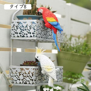 [Ăɂ񂮒u  u 񂬂̂̒u | ʐ^ ̑ K[fjOu CR  A AeB[N Aj}IuWF CeA H|i  i A