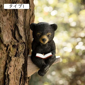 \[[u N} ^Cv 15cm K[fI[ig u K[fjOIuWF uCg ZT[ ANZT[  h ϋv 킢 v[g  O I[ig {