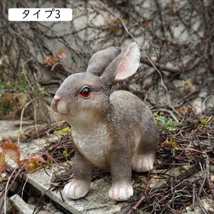 ETM tBMA x u AeB[N Aj} ^Cv fBXvC 킢 ObY eu  Aj}IuWF K[fI[ig  ގ Op 낪