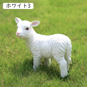 u r CeAIuWF IuWF Aj} u O Xܑ  |[Y i 킢 Ђ  GXjbN k  B fR[V ObY LOi Mtg z