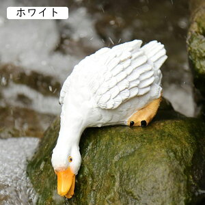 O u CeAu Xܑ AEghA rO IuWF Ђ IV k n Vv Aj} ~hTCY Ђ u K[fI[ig ϋv JCCu 