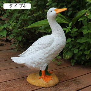 O̒̑ Aq  uK[fIuWF  CeAG O Ђ F ͋C _bN u  Aq̒u z[fR[V ^Cv ̑ O 
