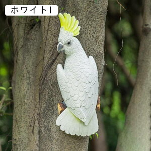 K[fI[ig  ݂ K[fjO u K[fjOG K[fIuWF  v[g Mtg F CeA AEghA   fR[V 킢  B O