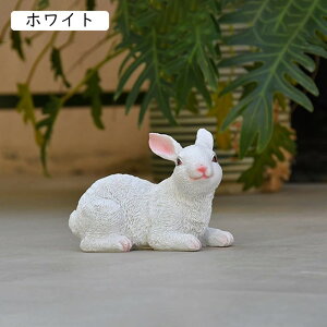 IuWF K[f _ Mtg u ETM Aj}  Vv ObY fR[V i O x_ W 蕨 }XRbg zCg ϋv e u JCCu