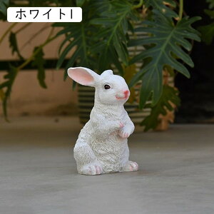 IuWF K[f _ Mtg u ETM Aj}  Vv ObY fR[V i O x_ W 蕨 }XRbg zCg ϋv e u JCCu