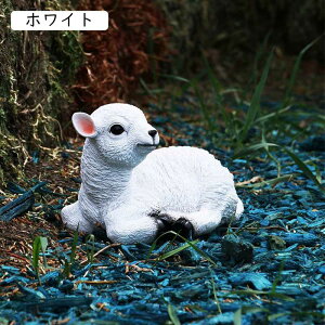  IuWF Aj}G LOi 蕨 ̓Mtg u qcW  Vv Ă K i` Ђ  zCg JCCu G B K Gݒu h v