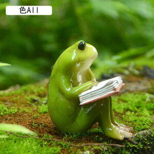 Aq R|[ JG ObY u G  JG R|[V[Y Ђ Aq sR R|^E JG u  CeA rO  킢  G 