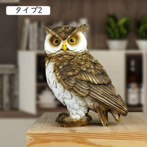 ӂ낤 tNE  AeB[N u  ^Cv Aj}IuWF F  N̗ǂ fBXvC Xܑ CeAG IuWF CeAG 킢 蕨 a