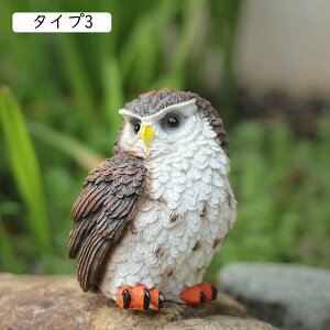 ӂ낤 tNE  AeB[N u  ^Cv Aj}IuWF F  N̗ǂ fBXvC Xܑ CeAG IuWF CeAG 킢 蕨 a