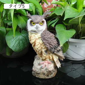 ӂ낤 tNE  AeB[N u  ^Cv Aj}IuWF F  N̗ǂ fBXvC Xܑ CeAG IuWF CeAG 킢 蕨 a