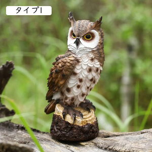 9 ӂ낤 K[f IuWF ^Cv fBXv[ o[h u   tNE u 킢   u v[g 蕨 ӂ낤G K[f  ӂ낤ObY Ő F